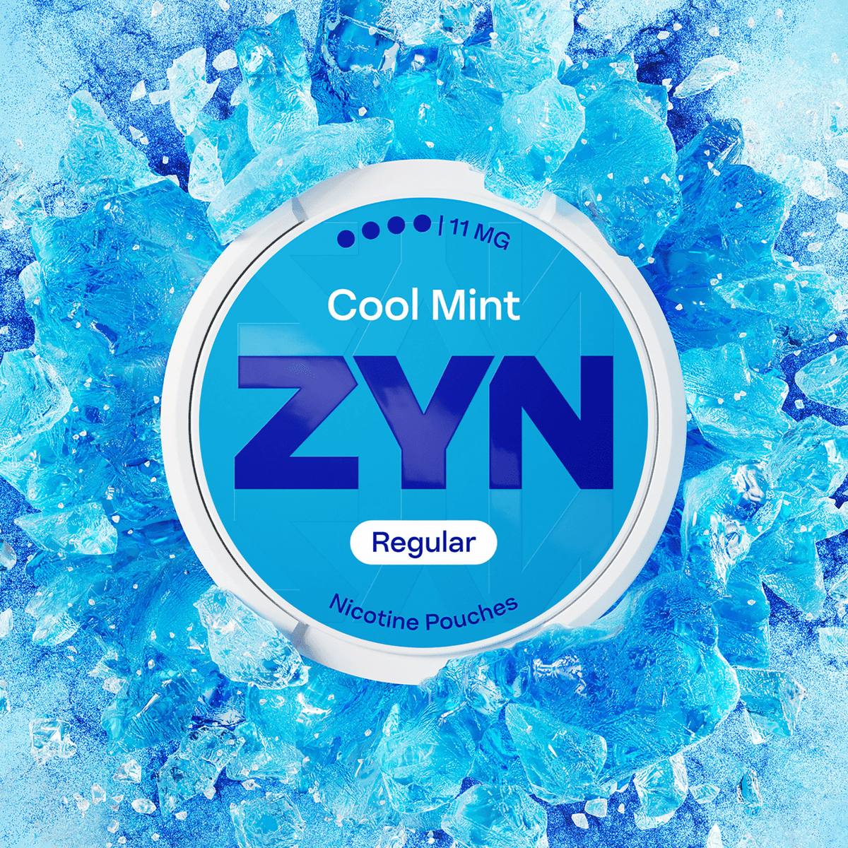Buy ZYN Nicotine Pouches Pack of 5 - Cool Mint