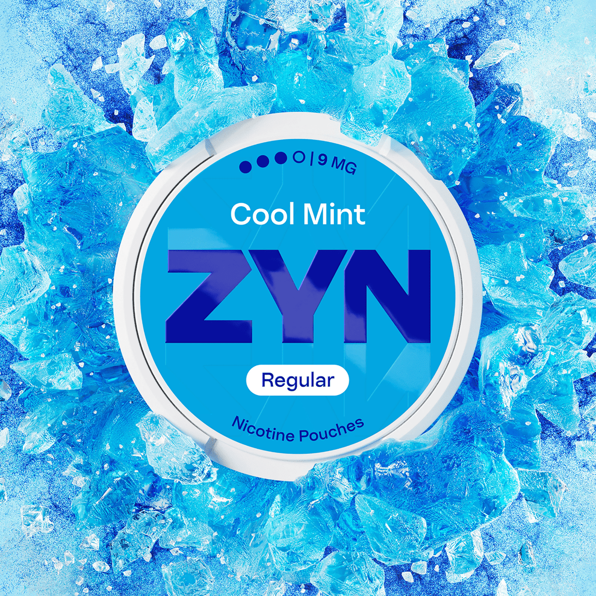 Buy ZYN Nicotine Pouches Pack of 5 - Cool Mint
