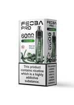 Buy Feoba Pro 6000 Prefilled Vape Box of 5 - Watermelon Ice