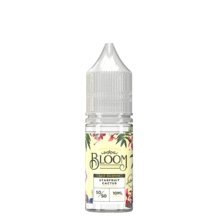 Buy Bloom 10ml Nic Salt (Pack of 10) - 10mg