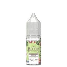 Buy Bloom 10ml Nic Salt (Pack of 10) - 10mg