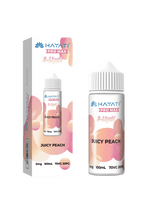 Buy Hayati Pro Max E - liquid 100ml - Juicy Peach